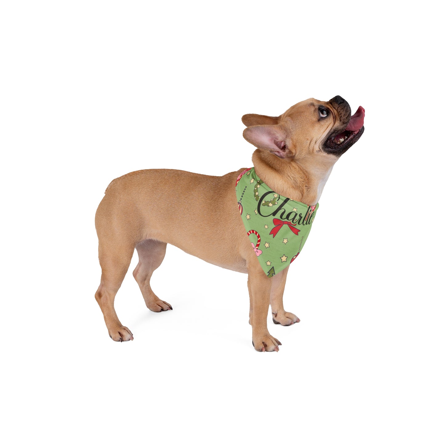 Pet Bandana - Jingle Bell Woof - Custom Name