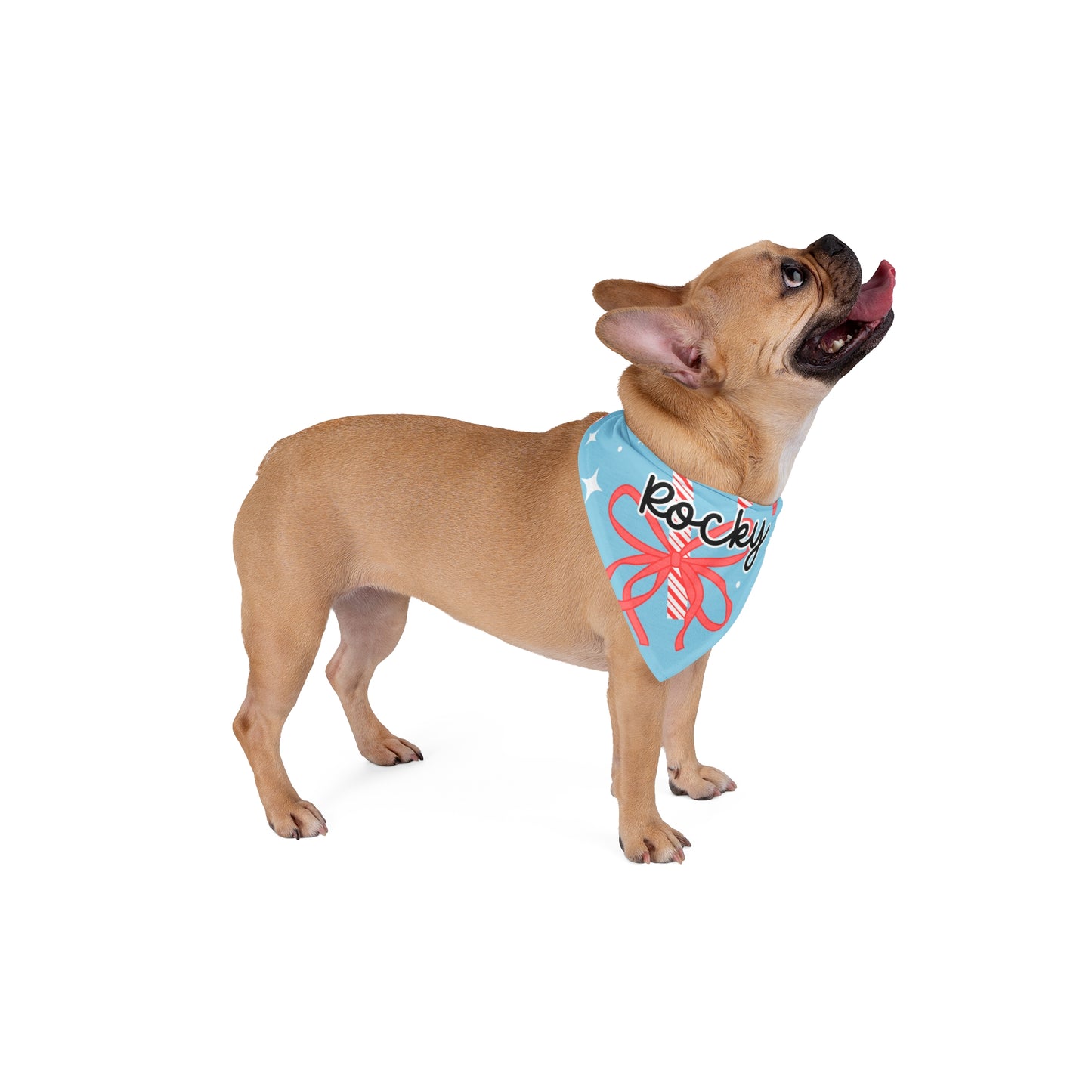 Pet Bandana - Winter Woofs - Custom Name
