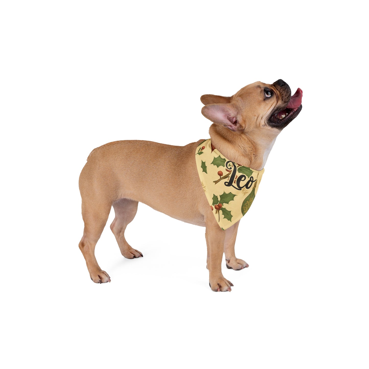 Pet Bandana - Feliz Navidog - Custom Name